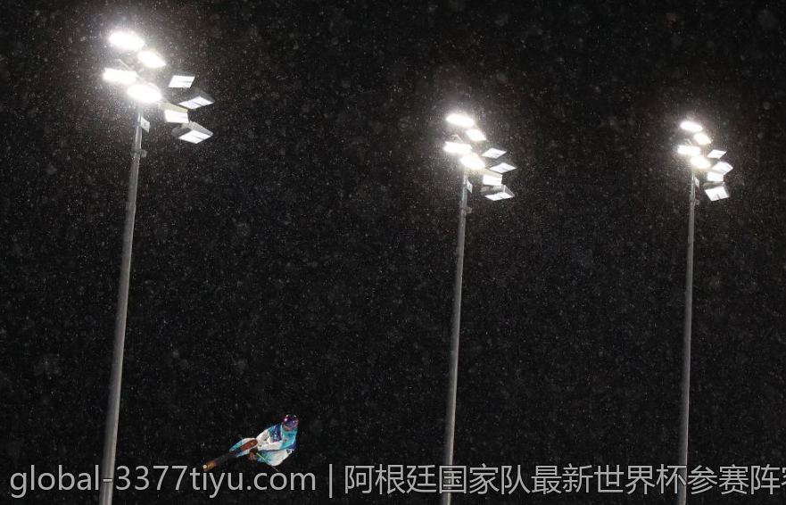 阿根廷国家队最新世界杯参赛阵容全解析